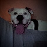 Entry image for Hugo