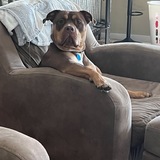 Entry image for Jack 2