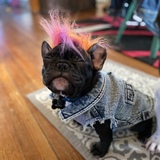 Entry image for Frank Reynolds