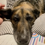 Entry image for Cooper