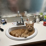 Entry image for Jupiter 