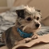 Entry image for Jolene