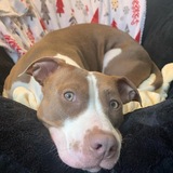 Entry image for Piggly