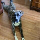 Entry image for Nami