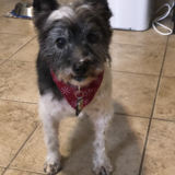 Entry image for Nigel