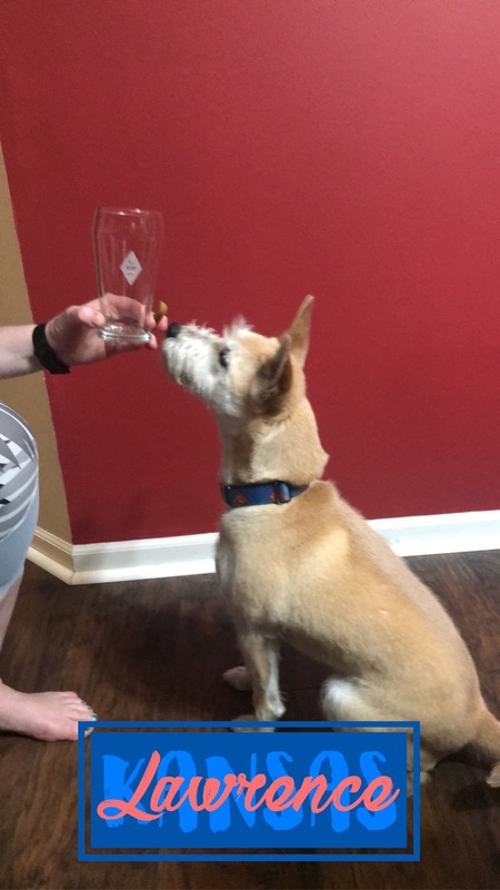 Entry image for Scotch. Clicking this image will show a larger photo