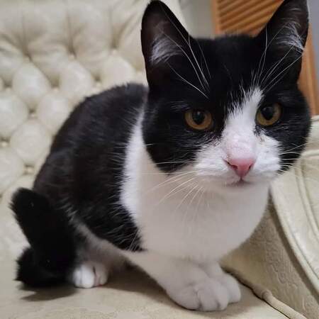 Entry image for Winnie. Clicking this image will show a larger photo