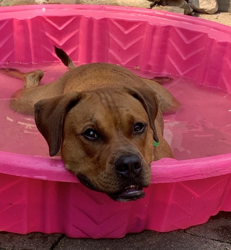 Entry image for Hobbs. Clicking this image will show a larger photo