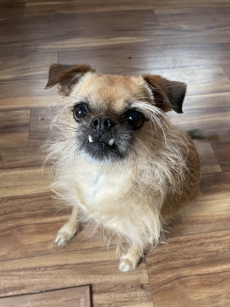 Entry image for Hilda . Clicking this image will show a larger photo