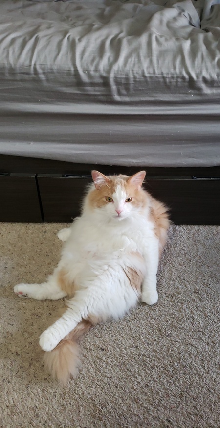 Entry image for Chirp. Clicking this image will show a larger photo