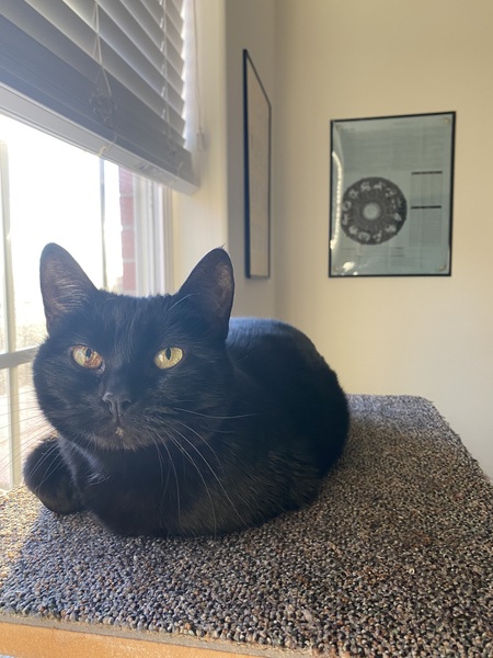 Entry image for Koal . Clicking this image will show a larger photo