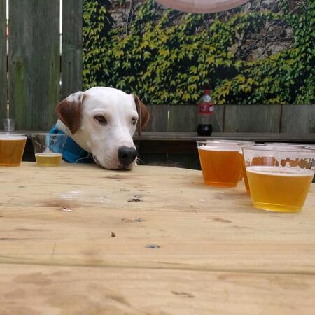 Entry image for Max. Clicking this image will show a larger photo