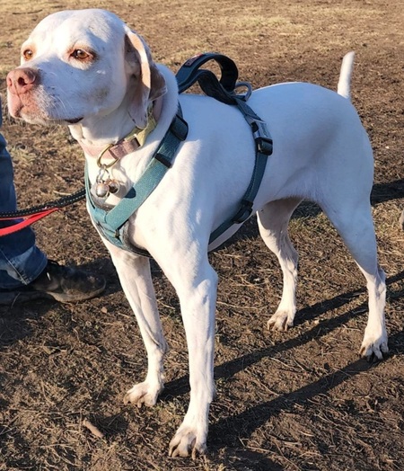 Entry image for Bex. Clicking this image will show a larger photo