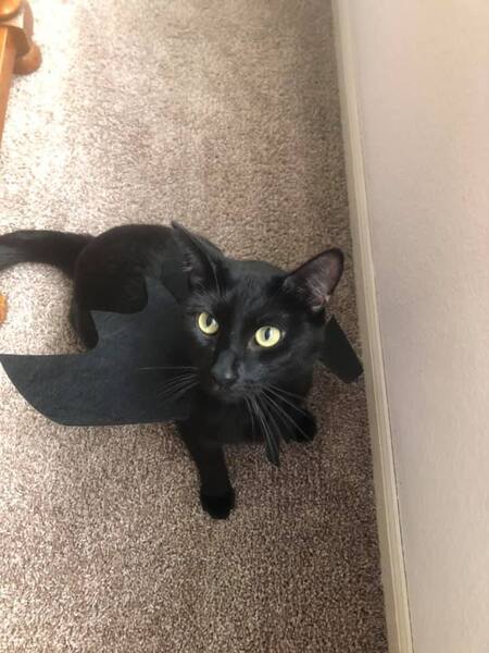 Entry image for Mars. Clicking this image will show a larger photo