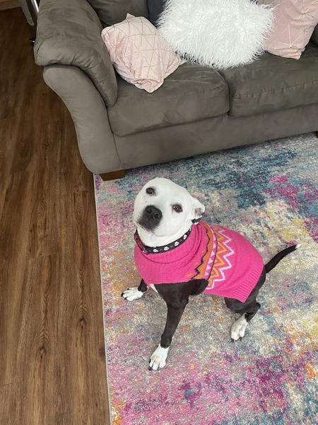 Entry image for Betty. Clicking this image will show a larger photo