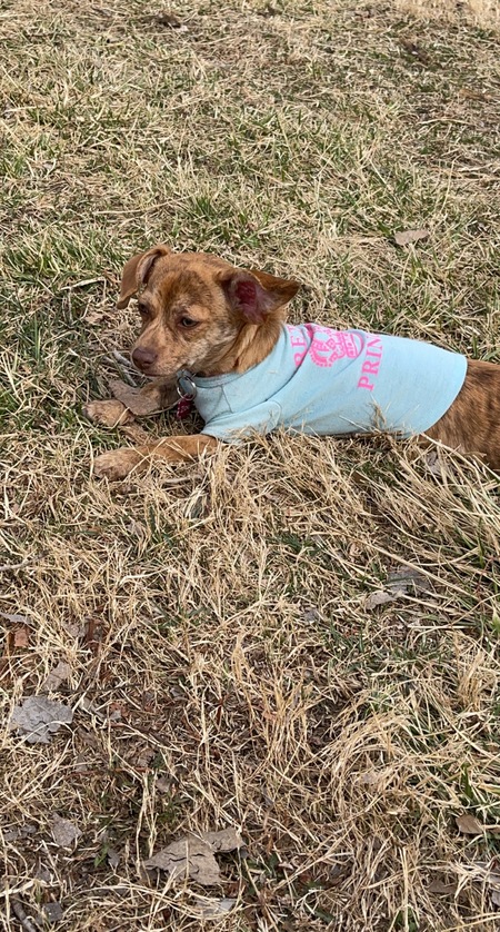 Entry image for Echo. Clicking this image will show a larger photo