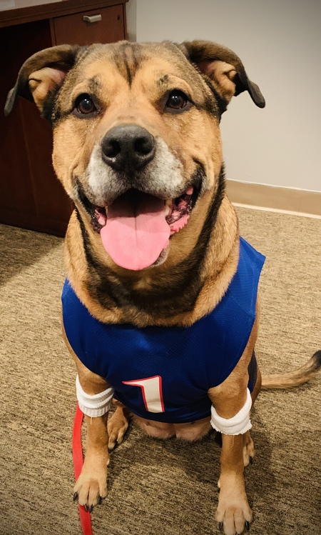 Entry image for Athena. Clicking this image will show a larger photo