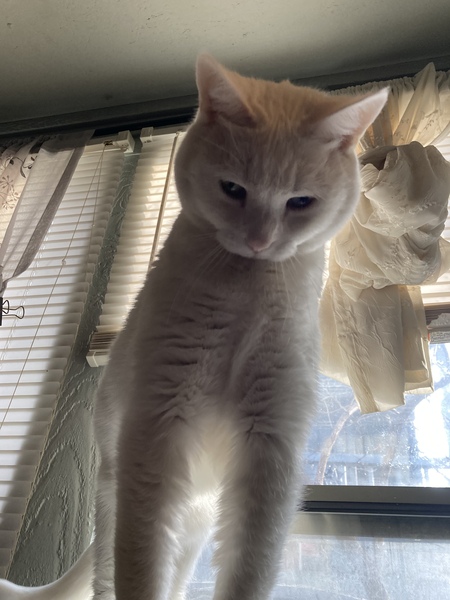 Entry image for Chel Bell Birthday Cake Lowder. Clicking this image will show a larger photo