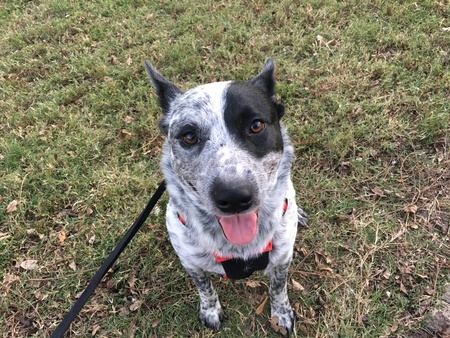 Entry image for Quentin. Clicking this image will show a larger photo