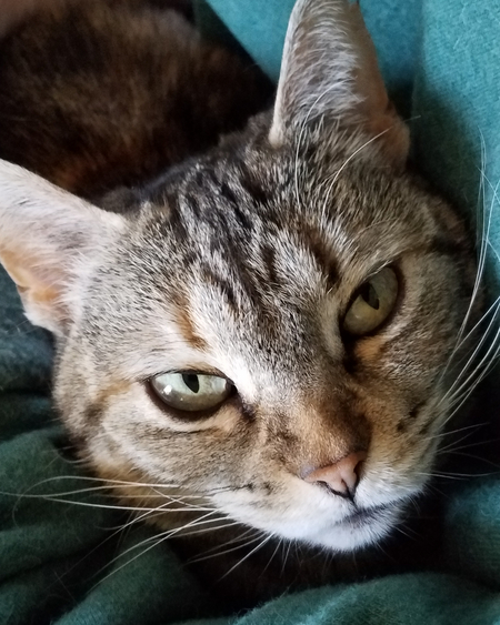 Entry image for Little Bit. Clicking this image will show a larger photo