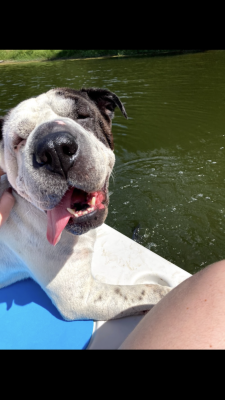 Entry image for Joan . Clicking this image will show a larger photo