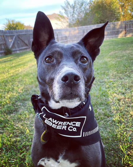 Entry image for Kali. Clicking this image will show a larger photo