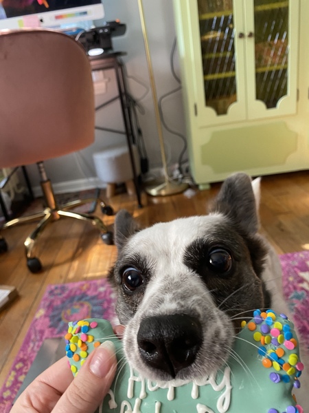 Entry image for Twyla. Clicking this image will show a larger photo