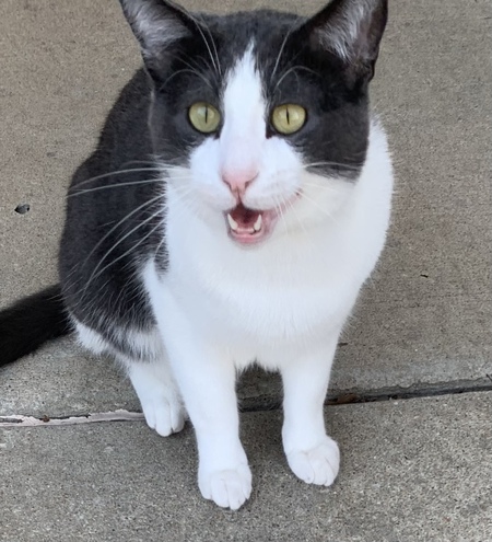 Entry image for Evander. Clicking this image will show a larger photo