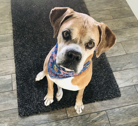 Entry image for Denny. Clicking this image will show a larger photo