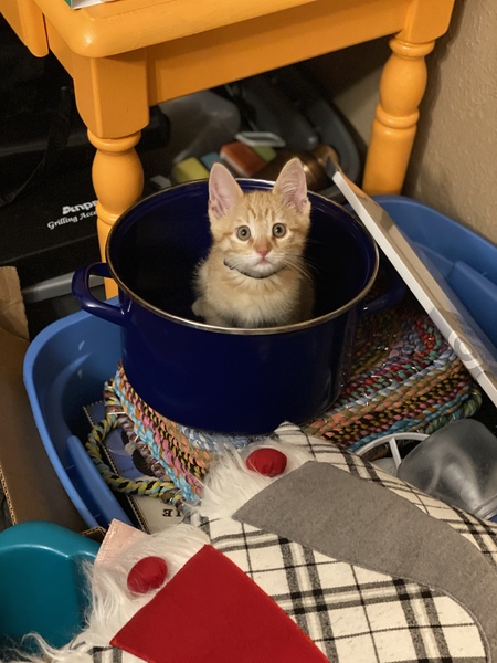 Entry image for Raymond. Clicking this image will show a larger photo