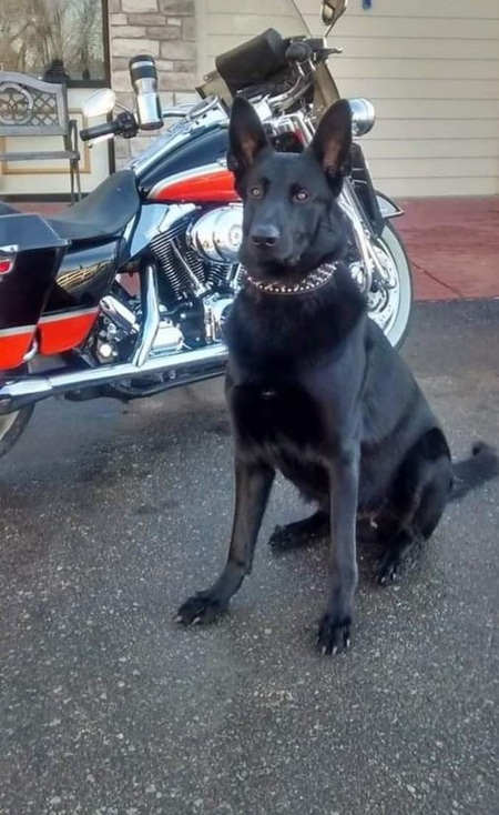 Entry image for Princeton Miller . Clicking this image will show a larger photo