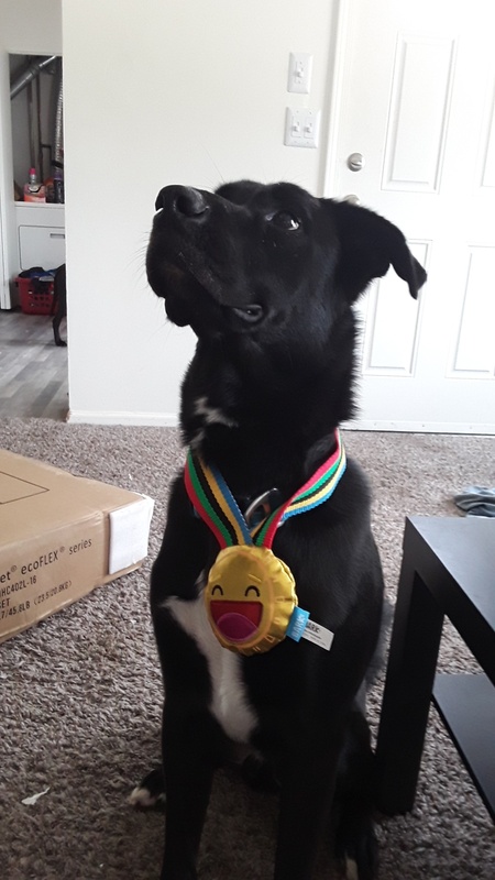 Entry image for Donny. Clicking this image will show a larger photo