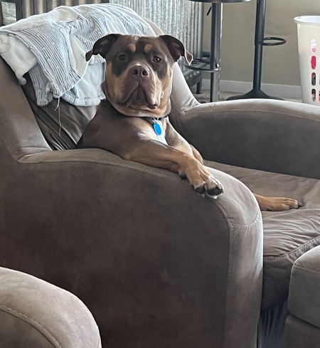 Entry image for Jack 2. Clicking this image will show a larger photo