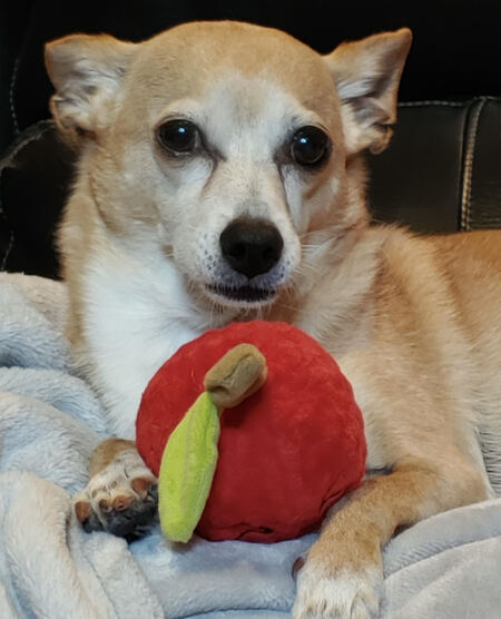 Entry image for Charles Xavier. Clicking this image will show a larger photo