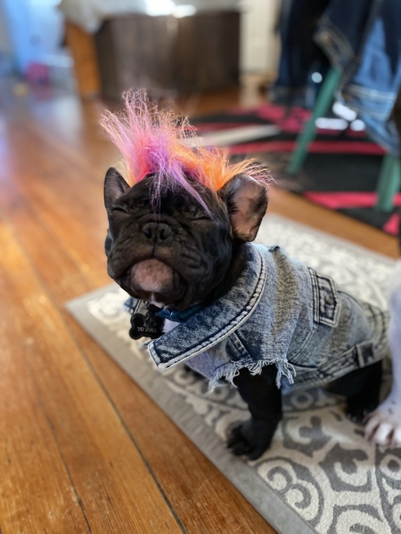 Entry image for Frank Reynolds. Clicking this image will show a larger photo