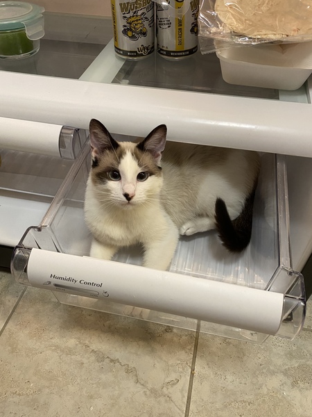 Entry image for Pam. Clicking this image will show a larger photo