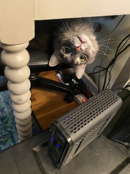 Entry image for Simon. Clicking this image will show a larger photo