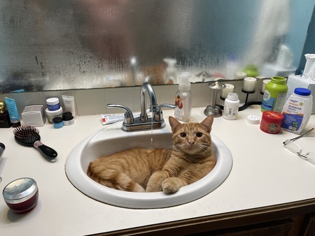 Entry image for Jupiter . Clicking this image will show a larger photo