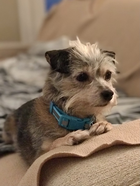 Entry image for Jolene. Clicking this image will show a larger photo