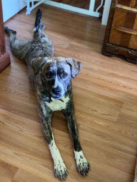 Entry image for Nami. Clicking this image will show a larger photo