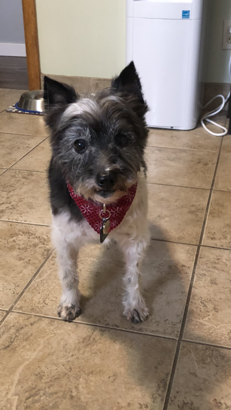 Entry image for Nigel. Clicking this image will show a larger photo