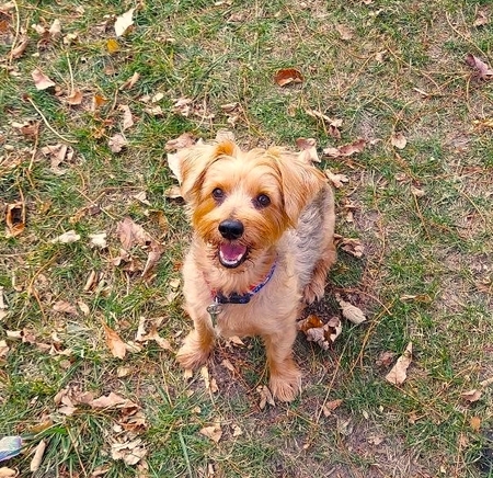 Winston