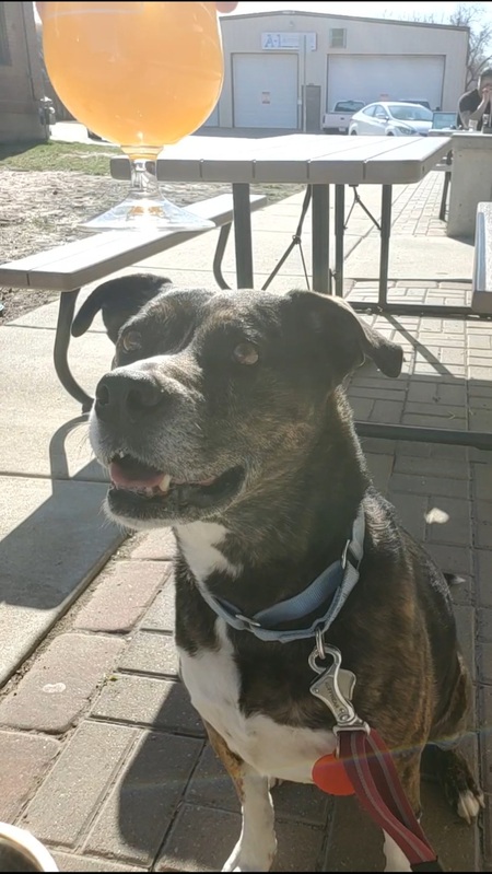 Maeby