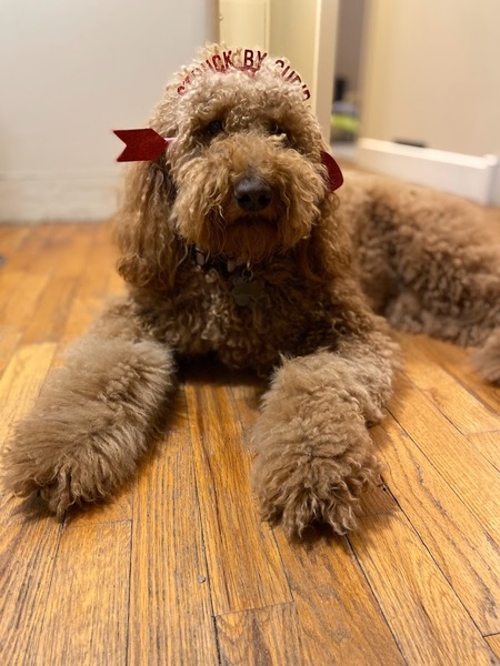 Miss Ruby