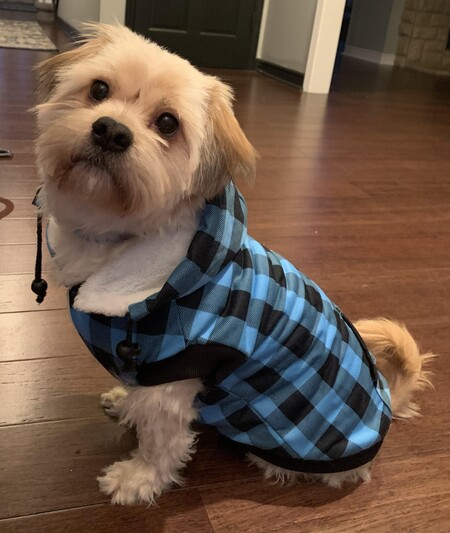 Harvey