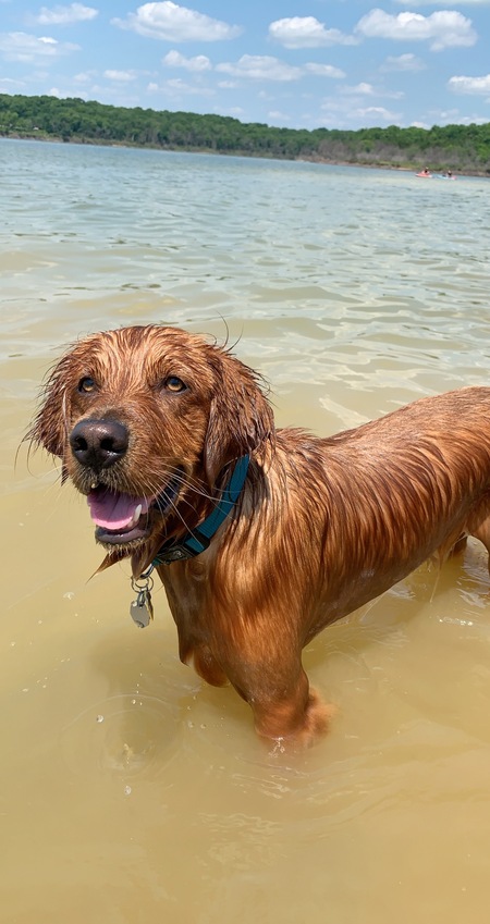 Sampson