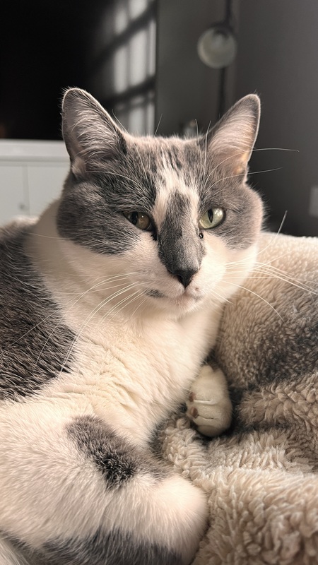Ernie