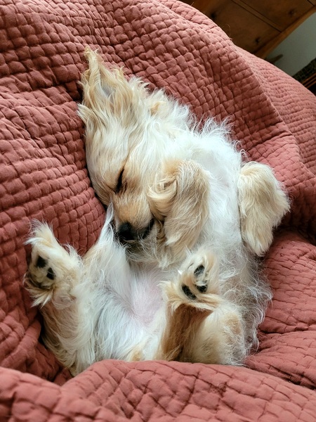 BILLY