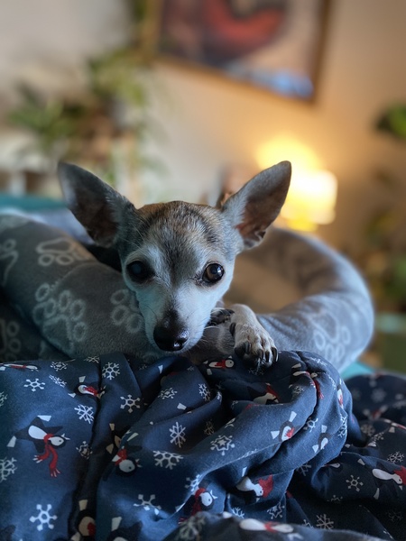 Winston 