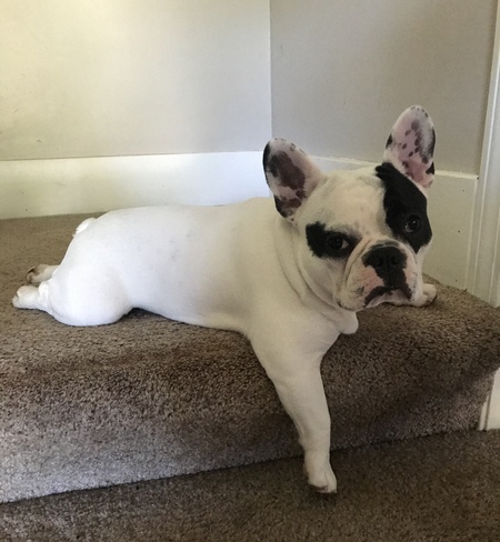 Walter